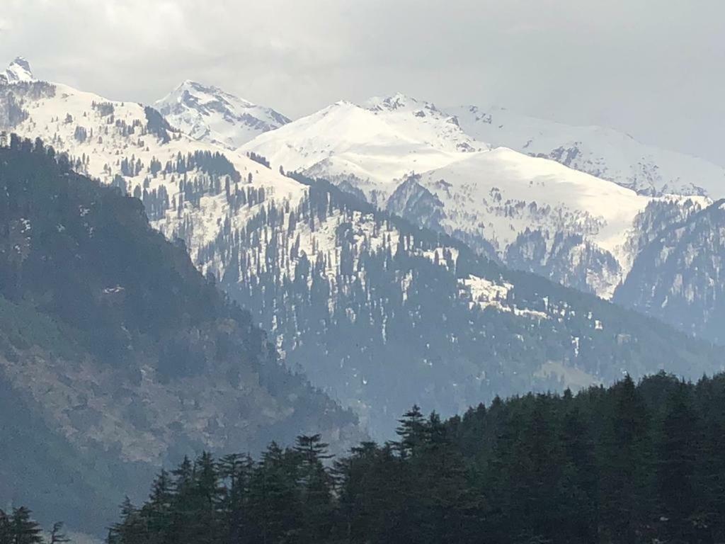 Drifter'S Inn & Cafe Manali  Luaran gambar