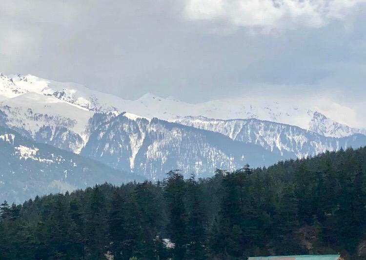Drifter'S Inn & Cafe Manali  Luaran gambar