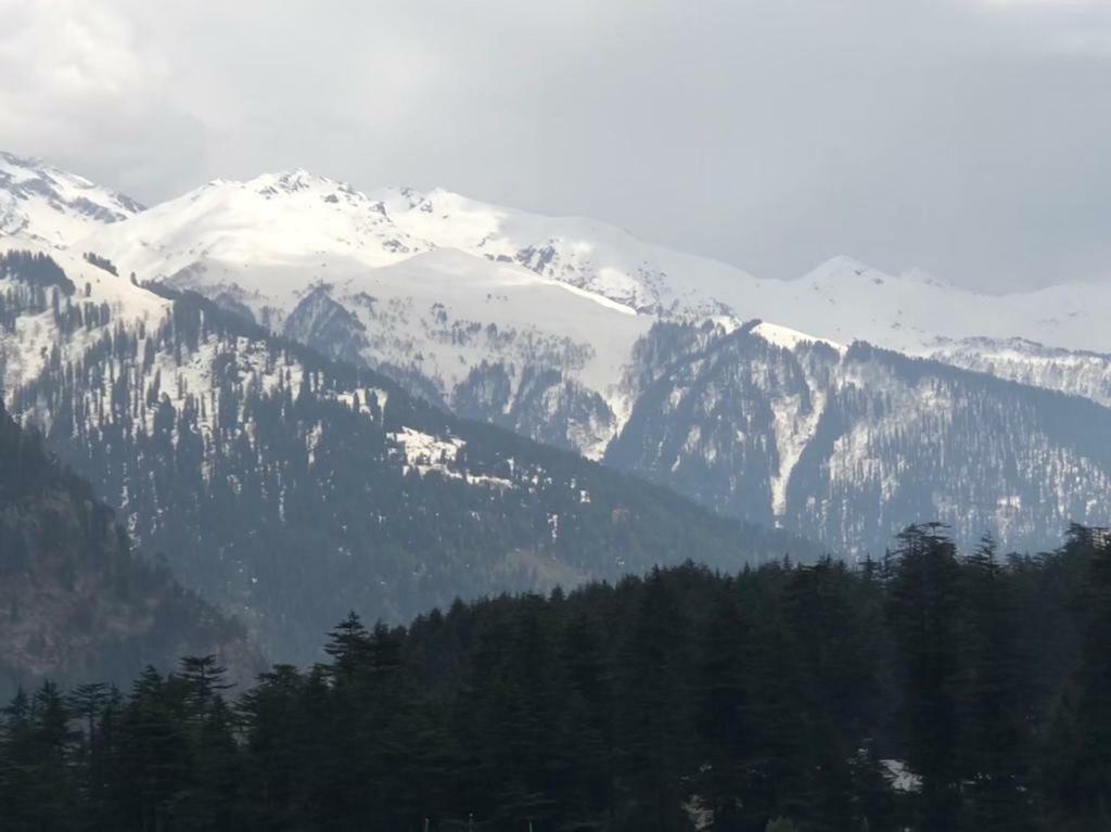 Drifter'S Inn & Cafe Manali  Luaran gambar