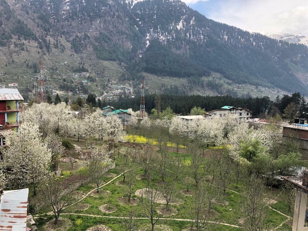 Drifter'S Inn & Cafe Manali  Luaran gambar