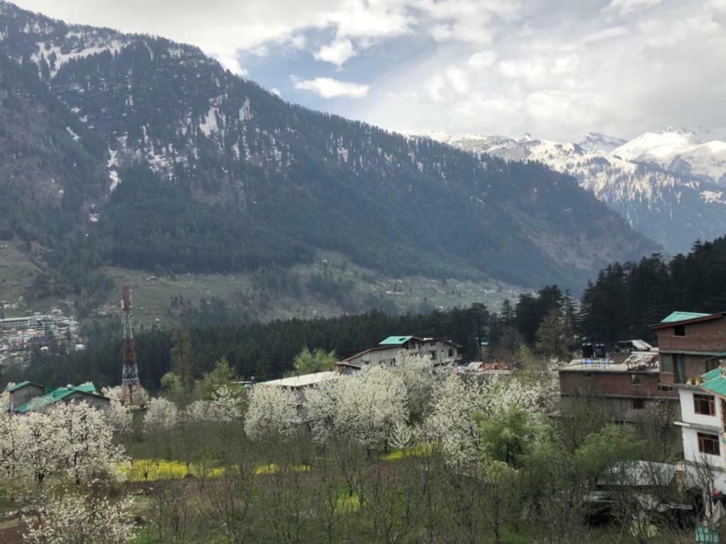 Drifter'S Inn & Cafe Manali  Luaran gambar